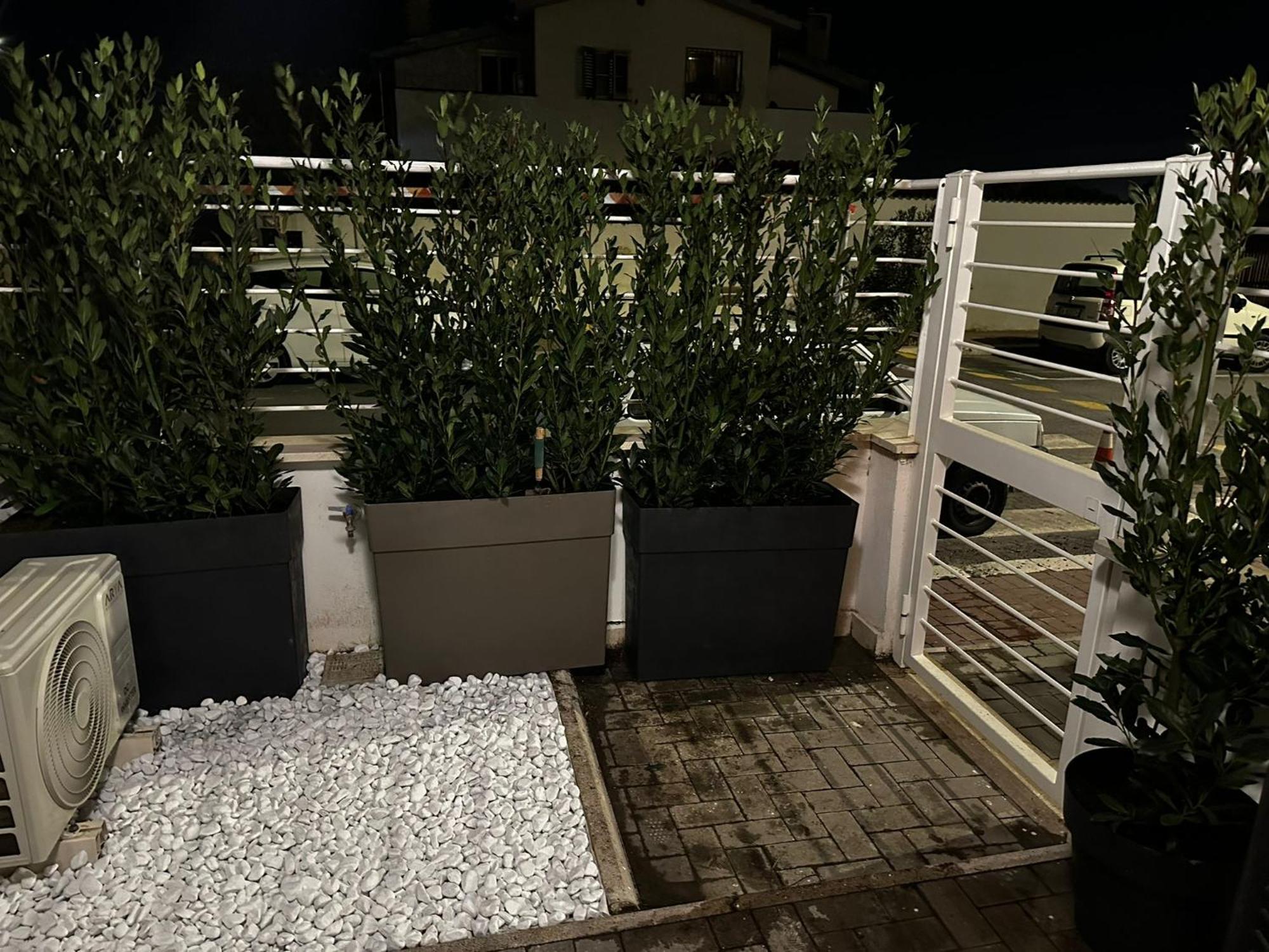 Villa Ancora...Io E Te Focene Exterior foto